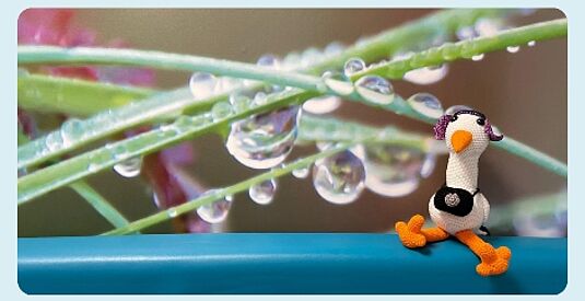 afbeelding Voorlichtingsfilms